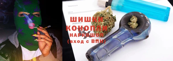 индика Алзамай