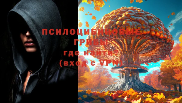 кокаин Алексин