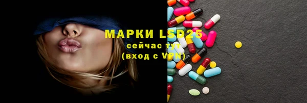 индика Алзамай