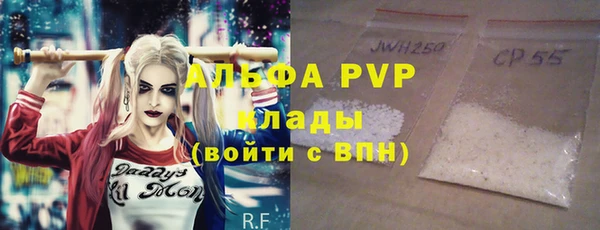 индика Алзамай
