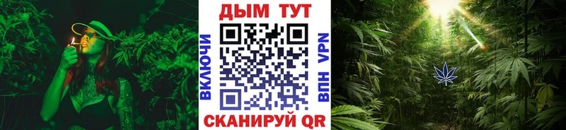 Канабис индика  Энем 